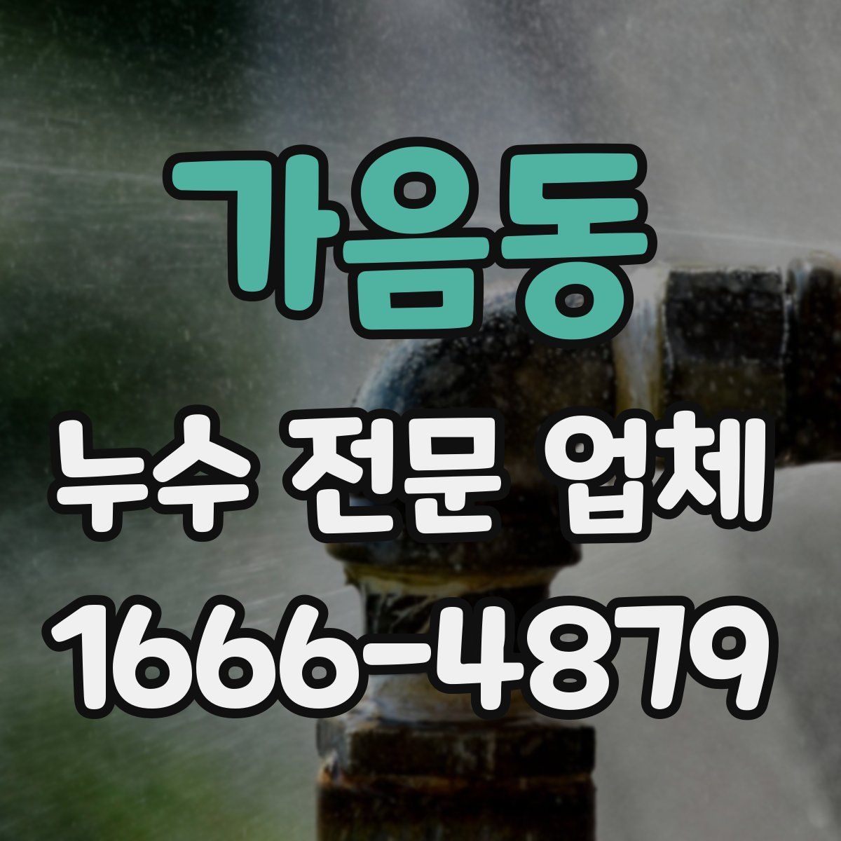 가음동 누수 전문 업체