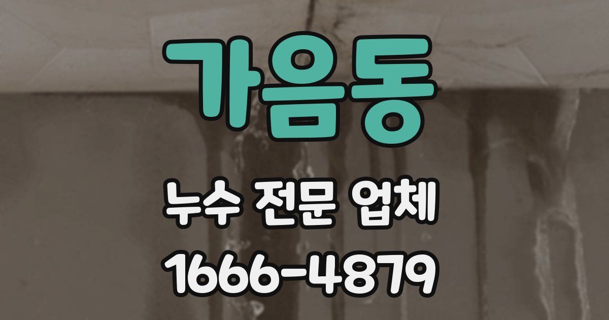 가음동 누수 전문 업체
