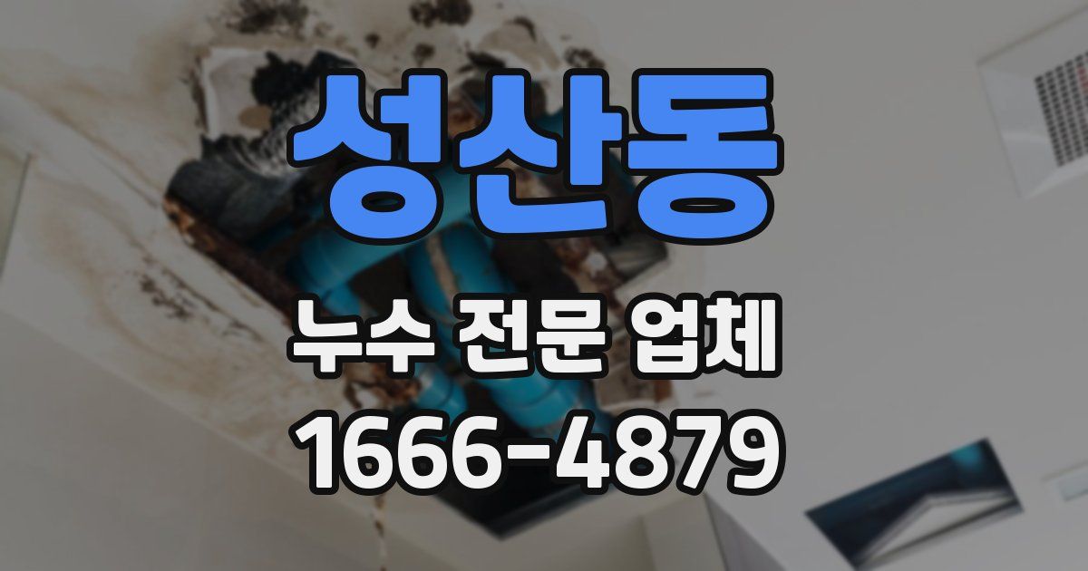 성산동 누수 전문 업체
