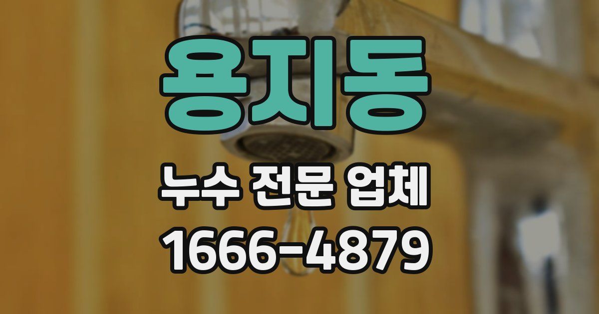 용지동 누수 전문 업체