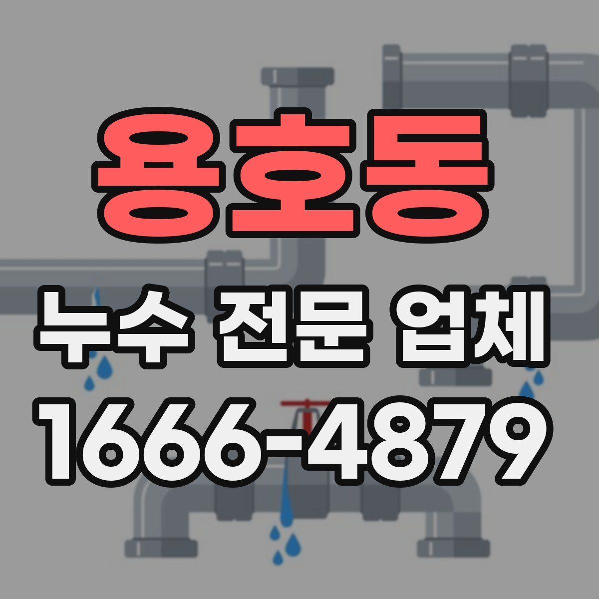 용호동 누수 전문 업체