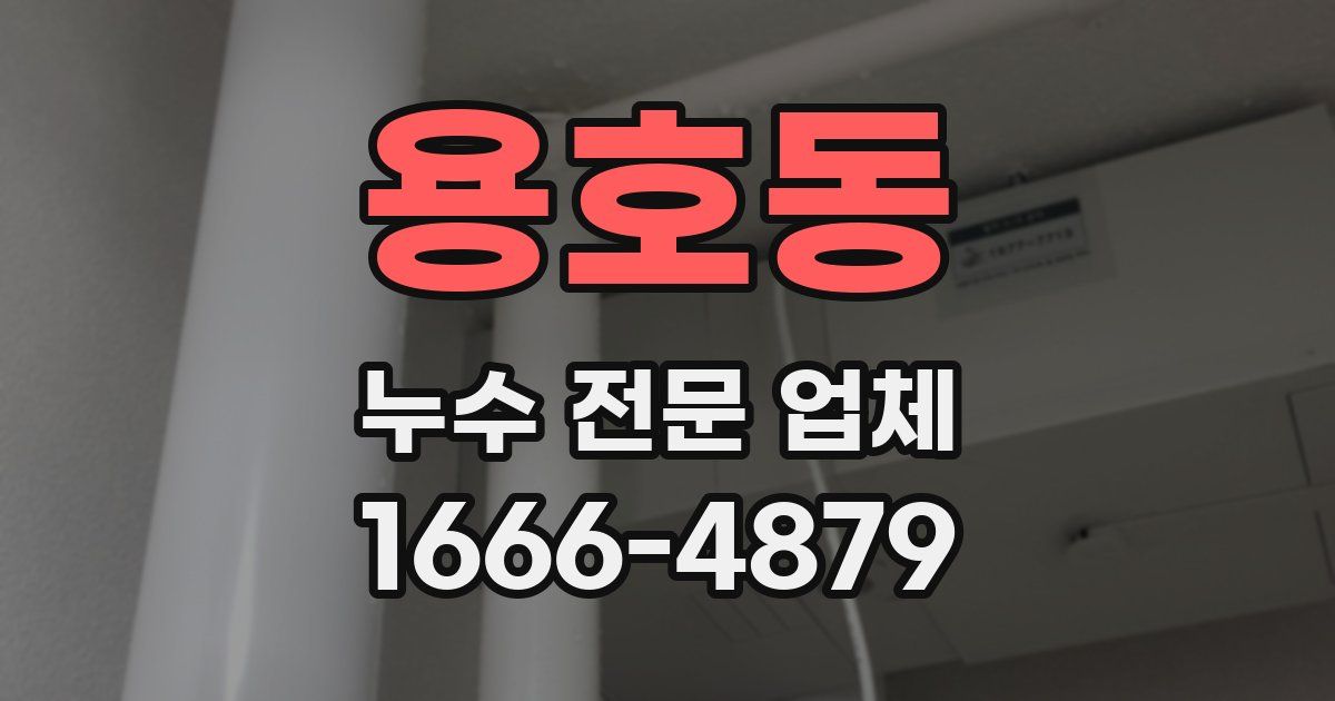 용호동 누수 전문 업체