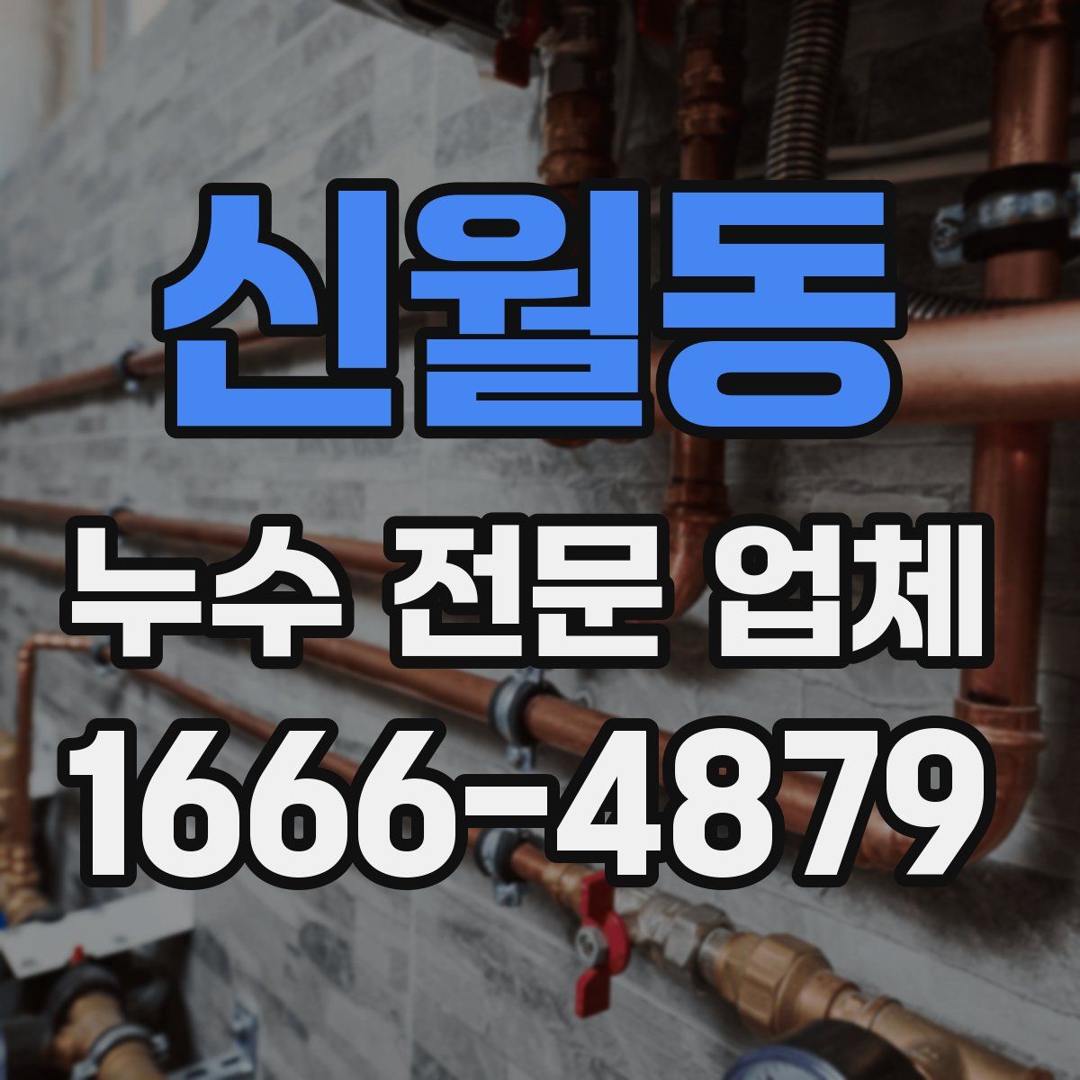 신월동 누수 전문 업체