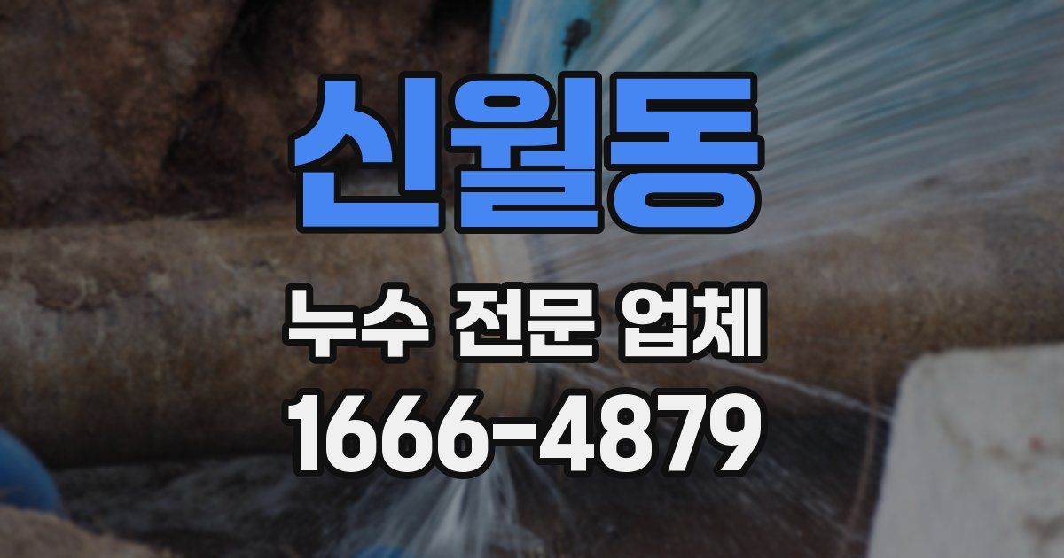 신월동 누수 전문 업체