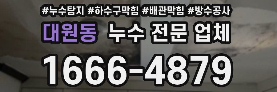 대원동 누수 전문 업체