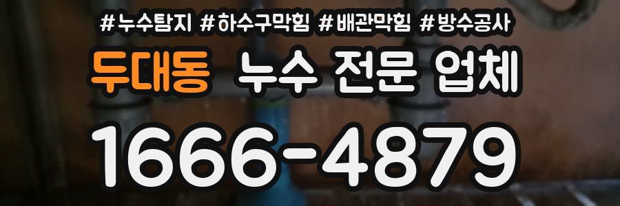 두대동 누수 전문 업체