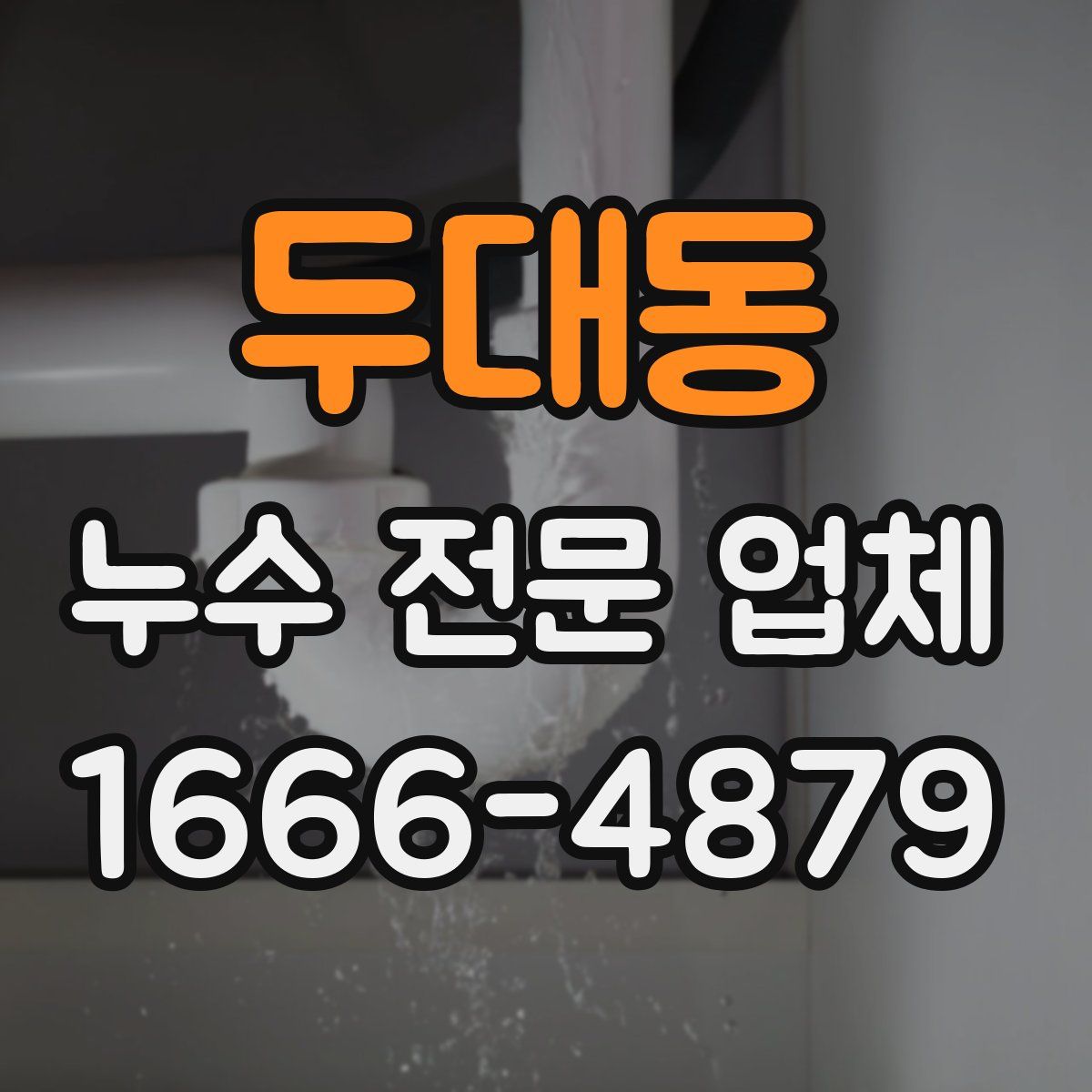 두대동 누수 전문 업체