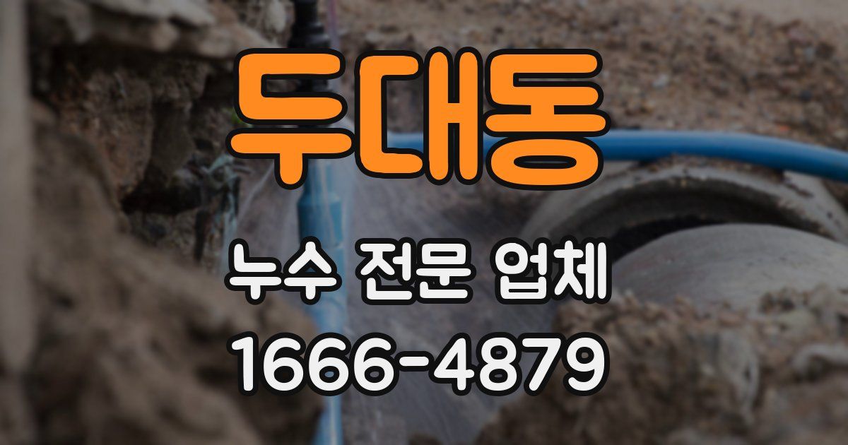 두대동 누수 전문 업체