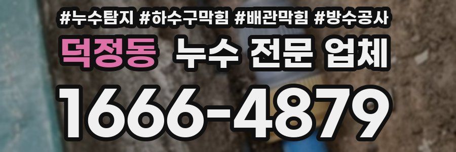 덕정동 누수 전문 업체