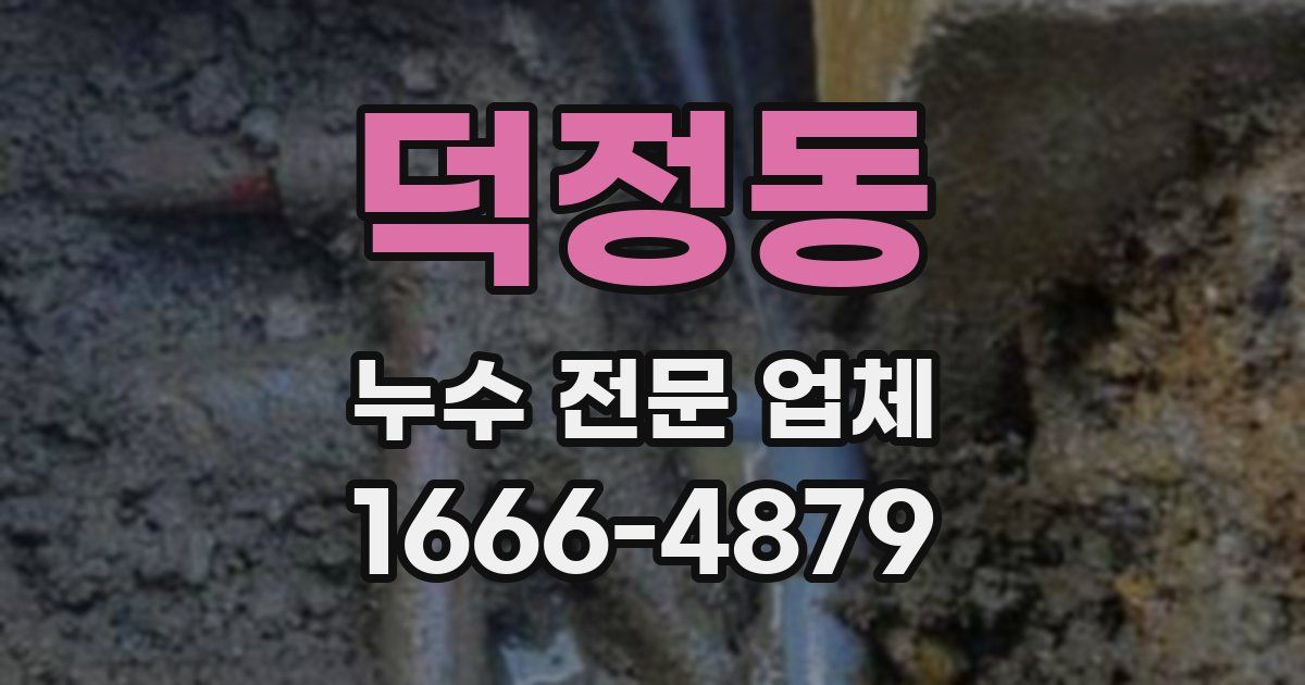 덕정동 누수 전문 업체