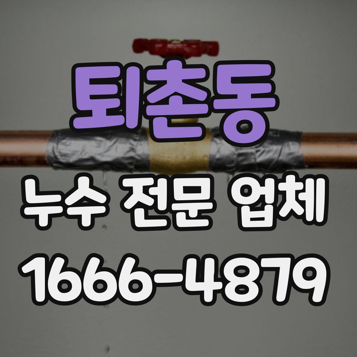 퇴촌동 누수 전문 업체