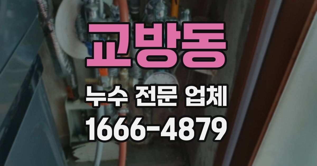 교방동 누수 전문 업체