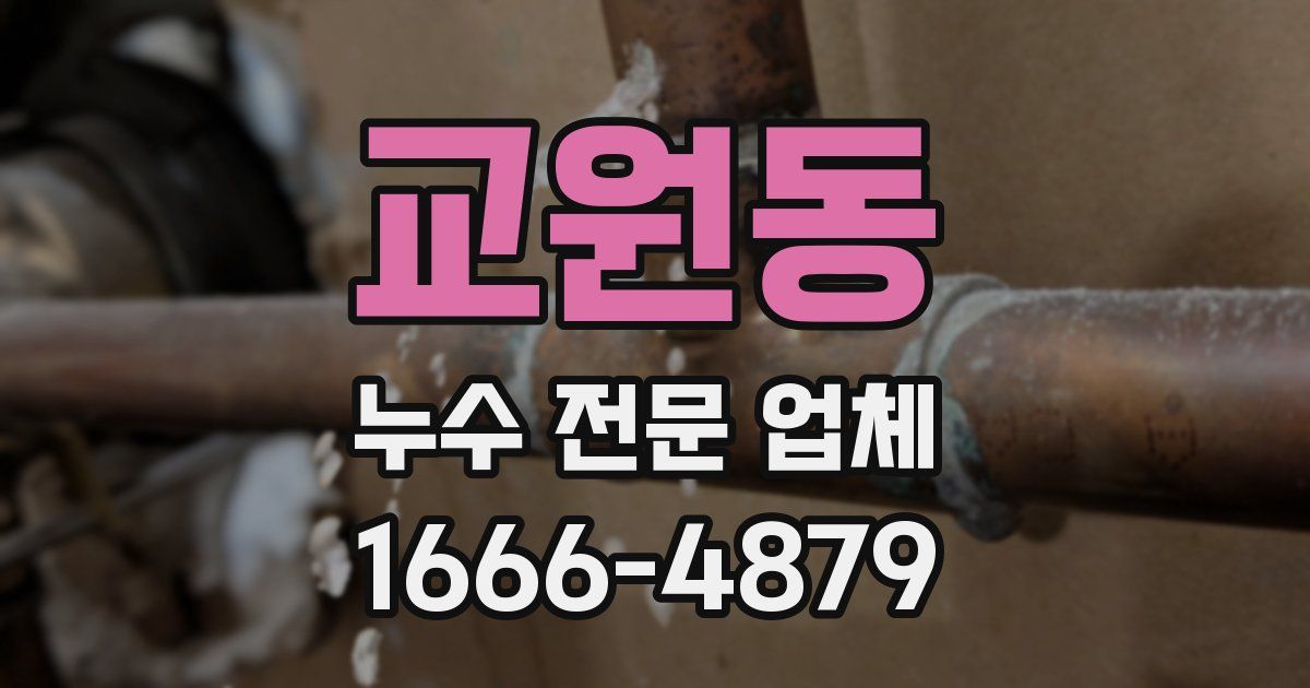교원동 누수 전문 업체