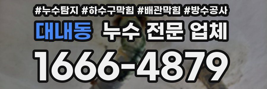대내동 누수 전문 업체