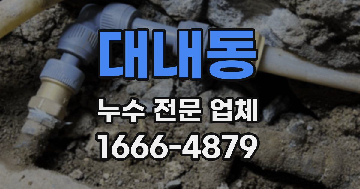 대내동 누수 전문 업체