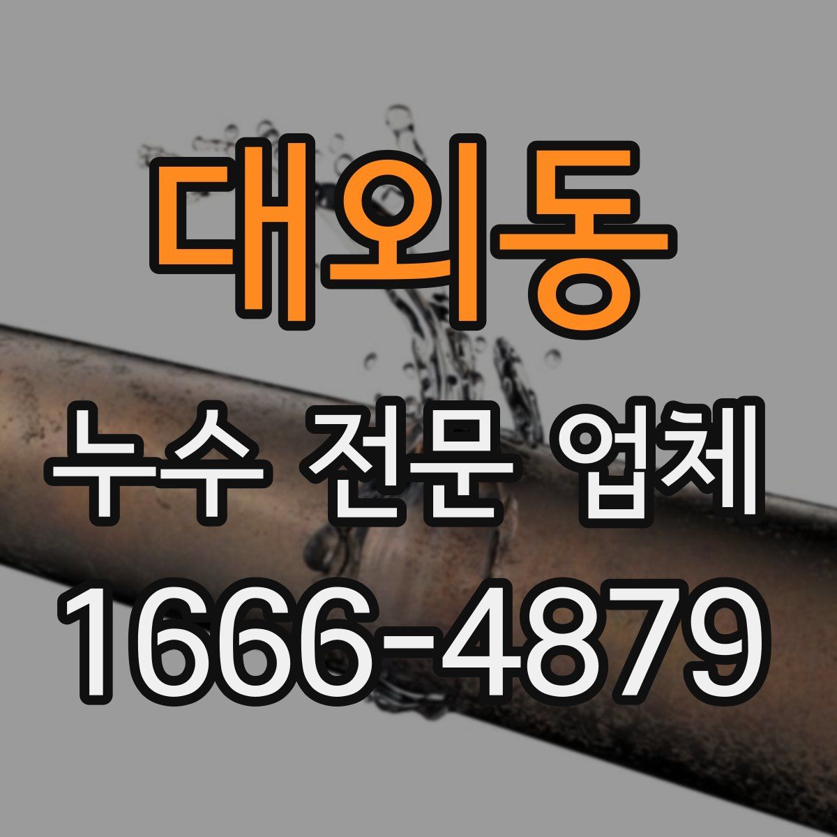 대외동 누수 전문 업체