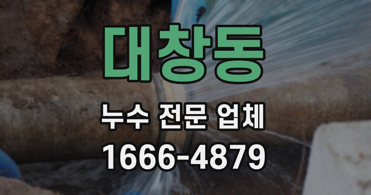 대창동 누수 전문 업체