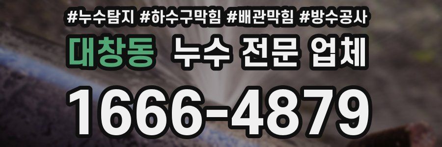 대창동 누수 전문 업체