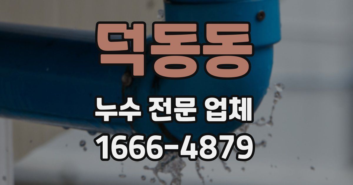 덕동동 누수 전문 업체