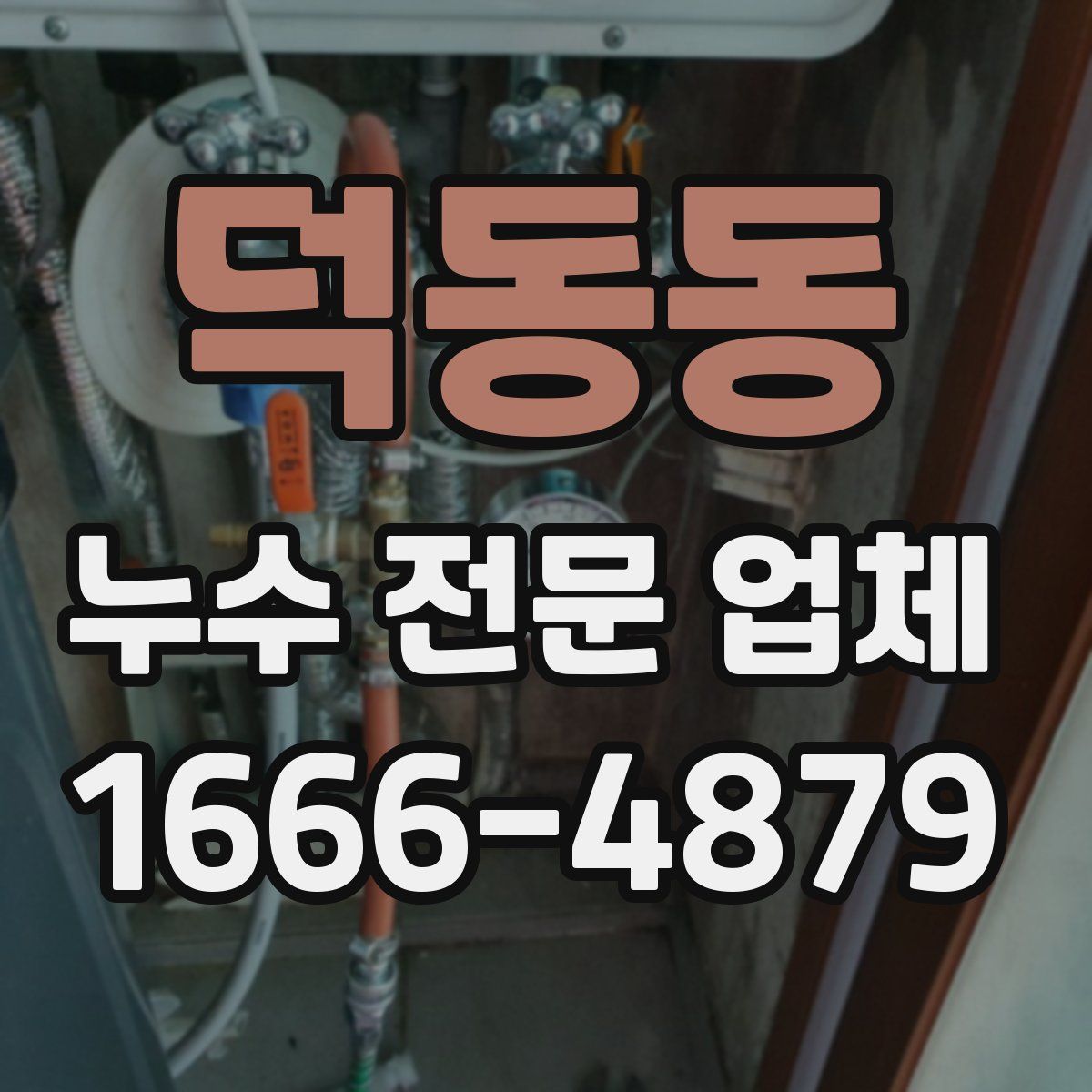 덕동동 누수 전문 업체