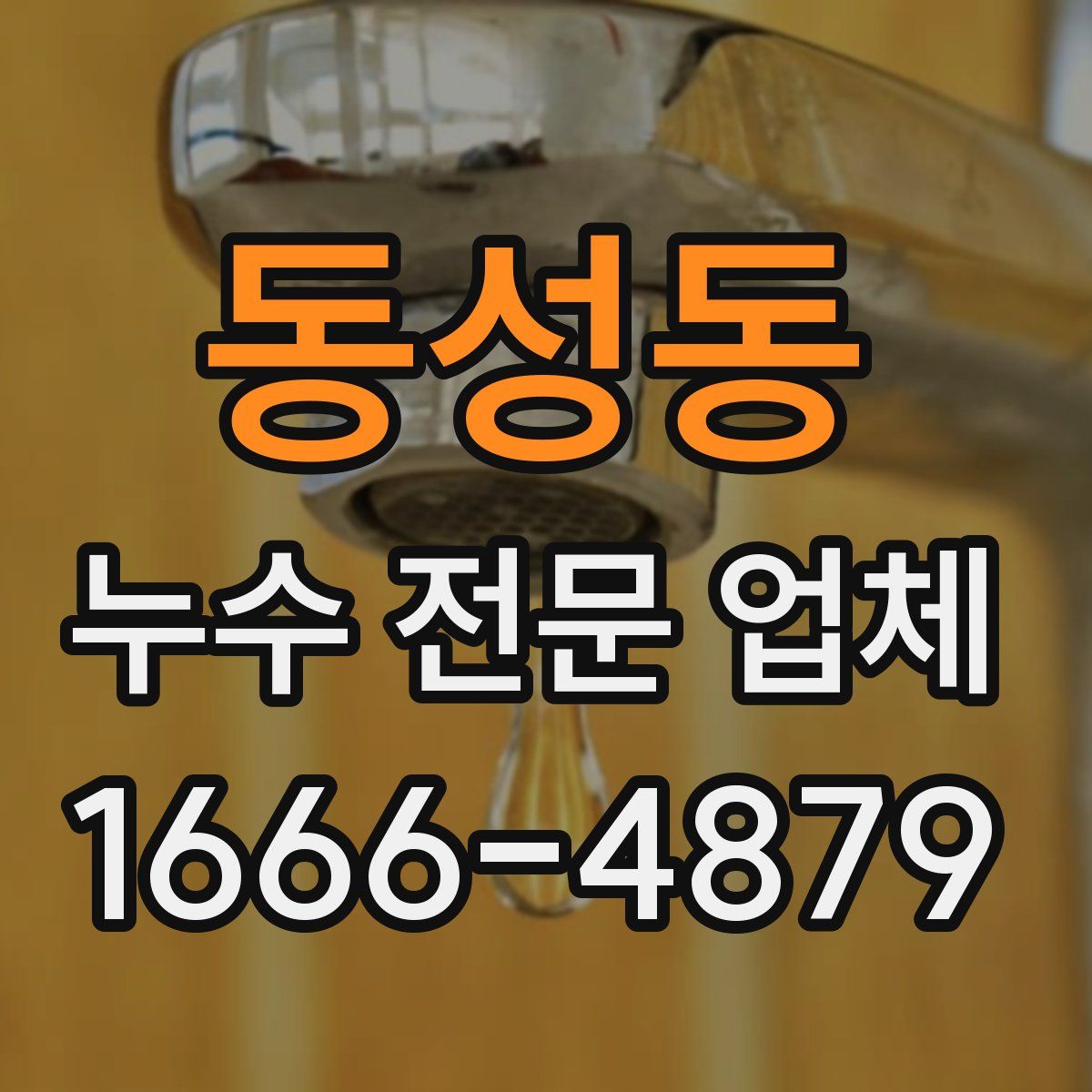 동성동 누수 전문 업체