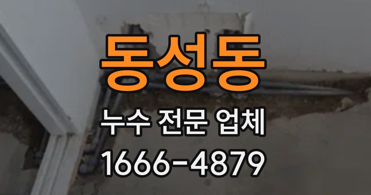 동성동 누수 전문 업체