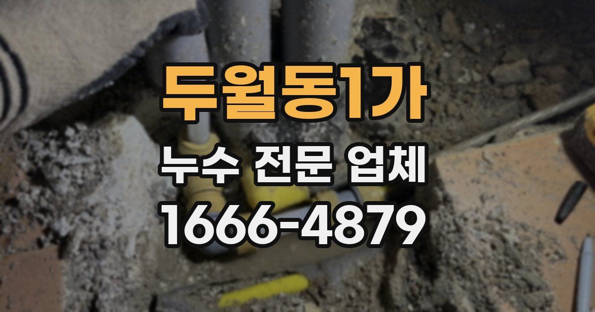 두월동1가 누수 전문 업체