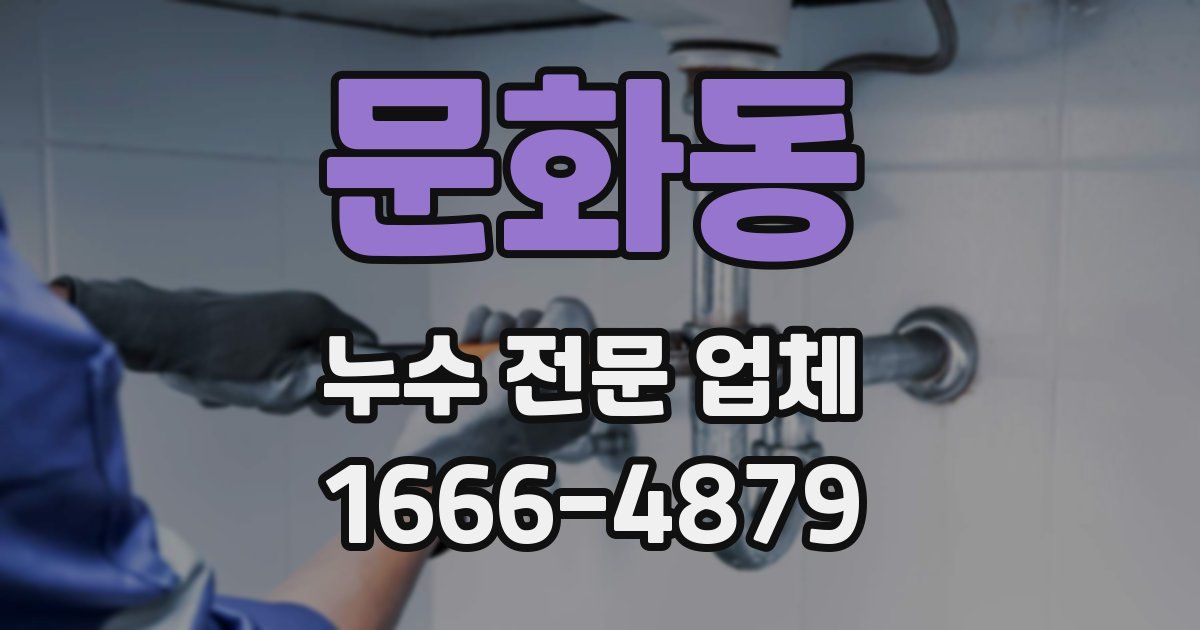 문화동 누수 전문 업체