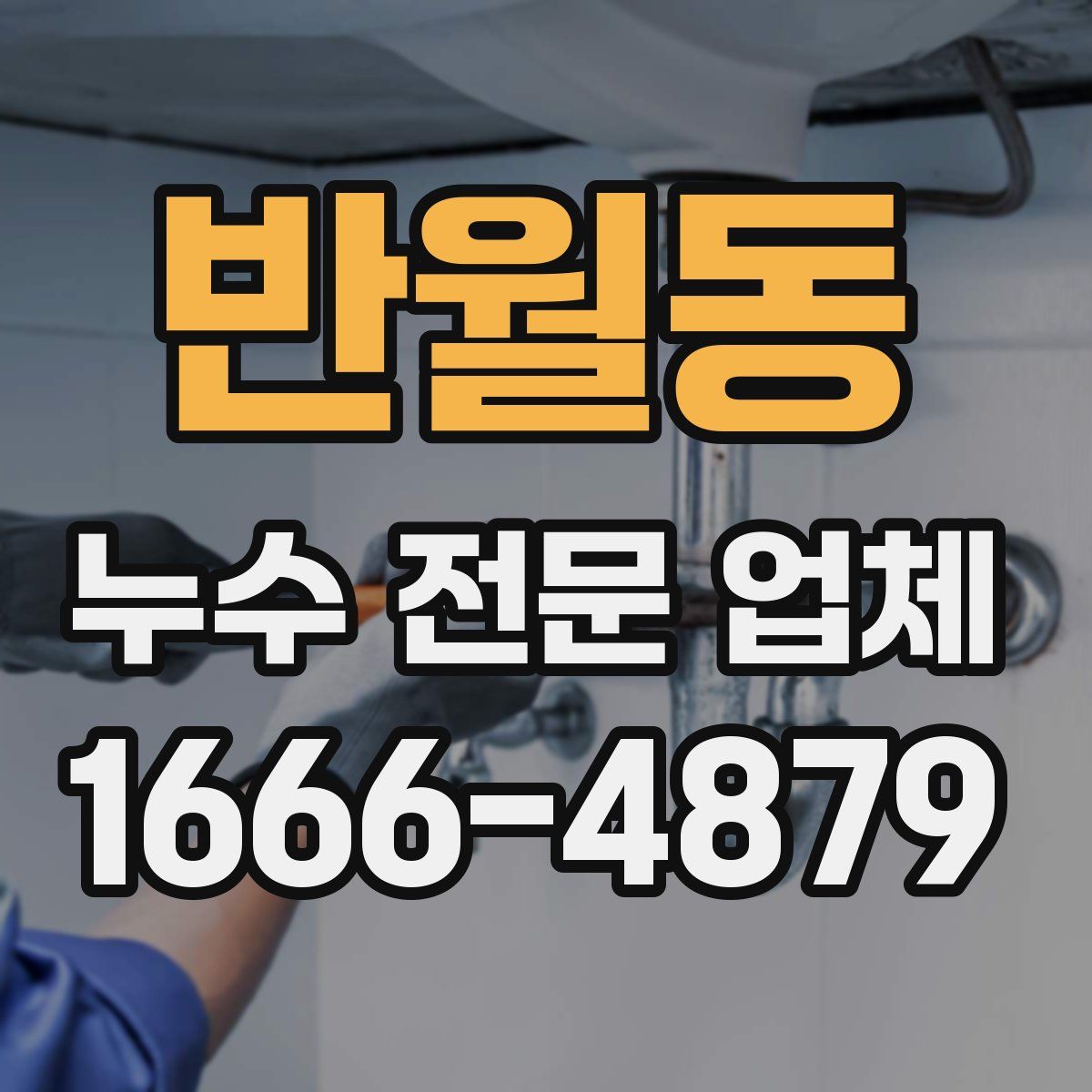 반월동 누수 전문 업체