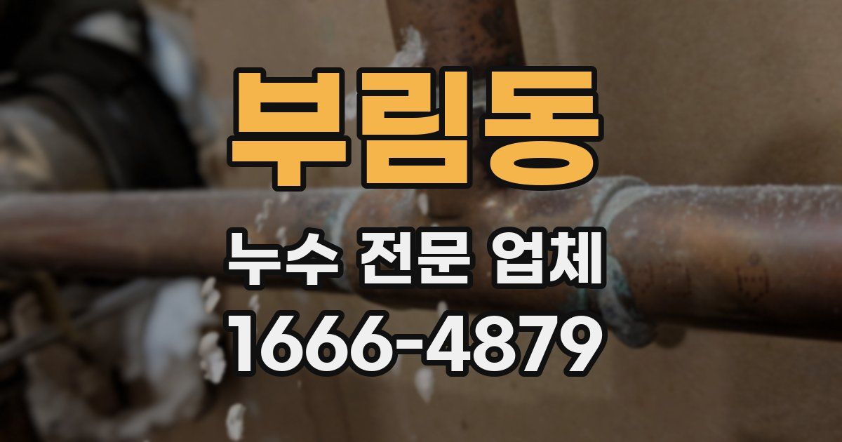 부림동 누수 전문 업체