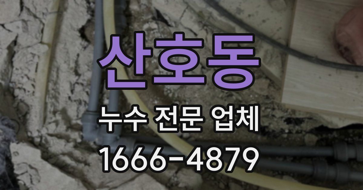 산호동 누수 전문 업체