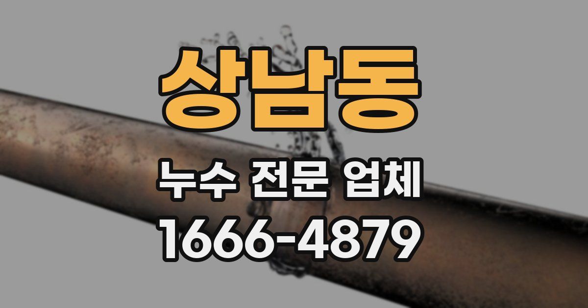 상남동 누수 전문 업체