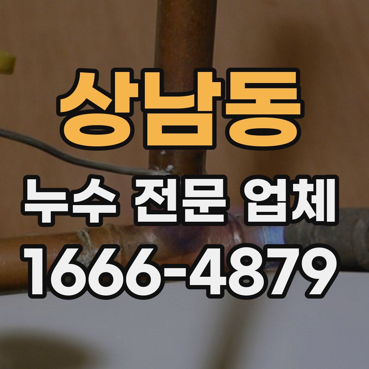 상남동 누수 전문 업체