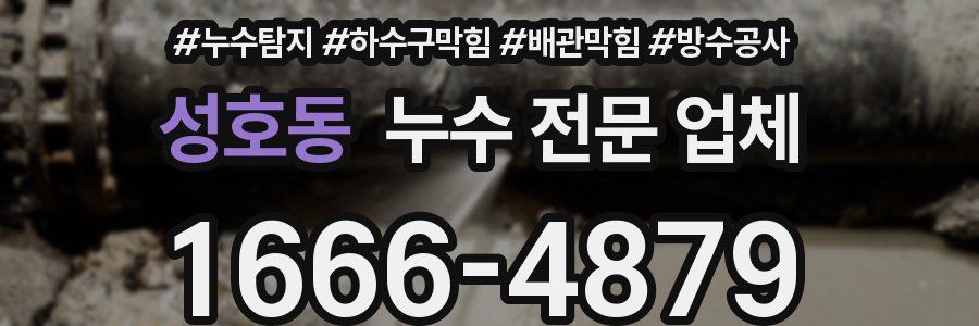 성호동 누수 전문 업체
