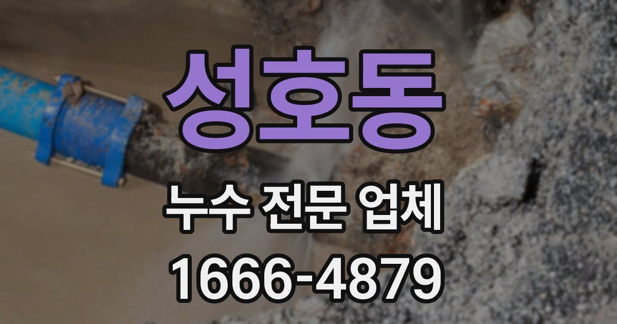 성호동 누수 전문 업체