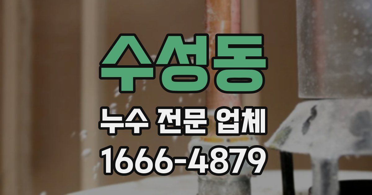 수성동 누수 전문 업체