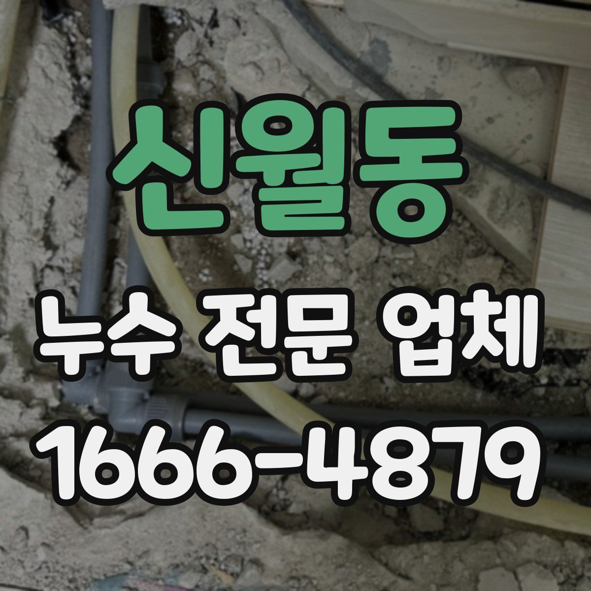 신월동 누수 전문 업체