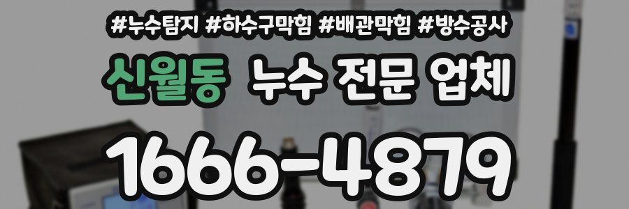 신월동 누수 전문 업체