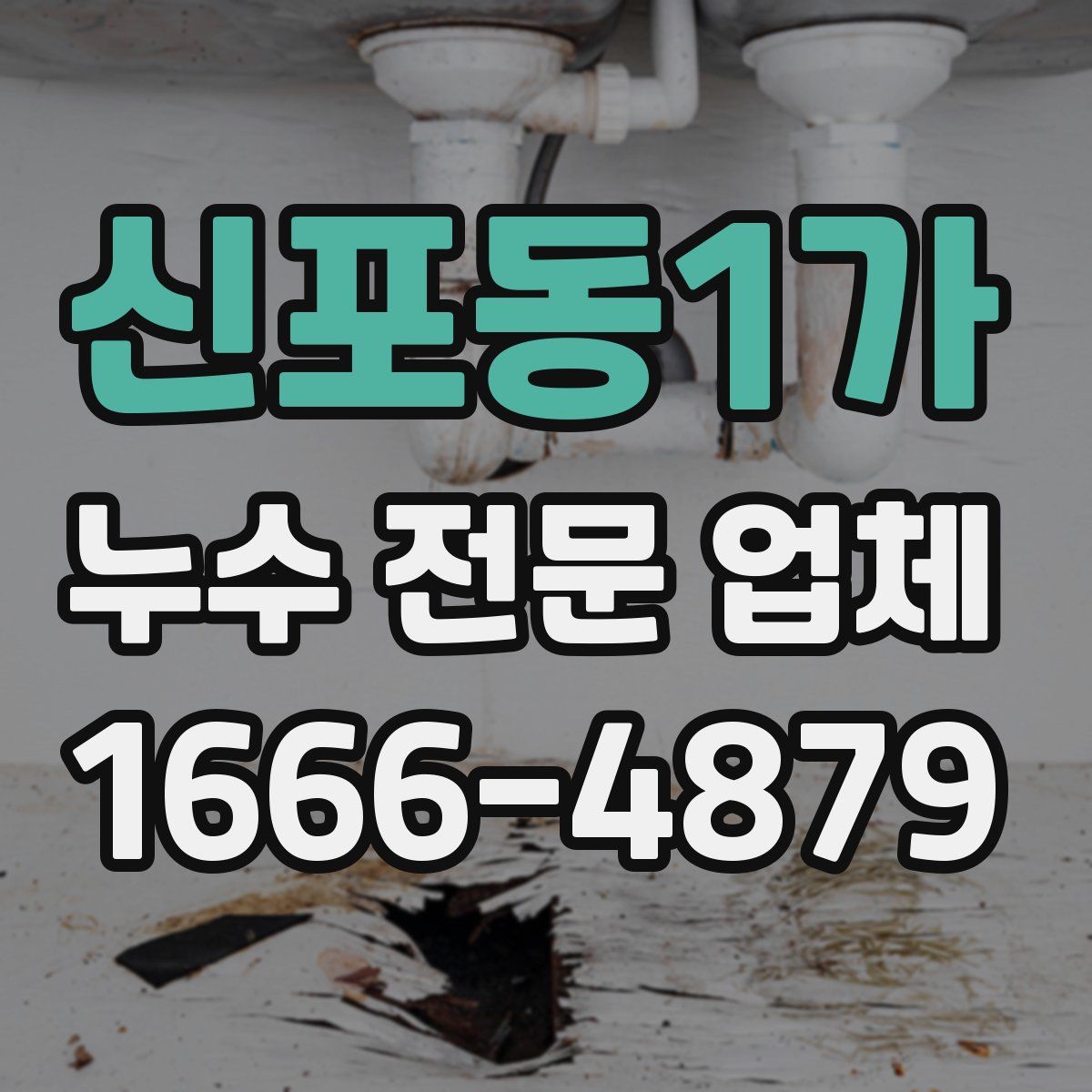 신포동1가 누수 전문 업체