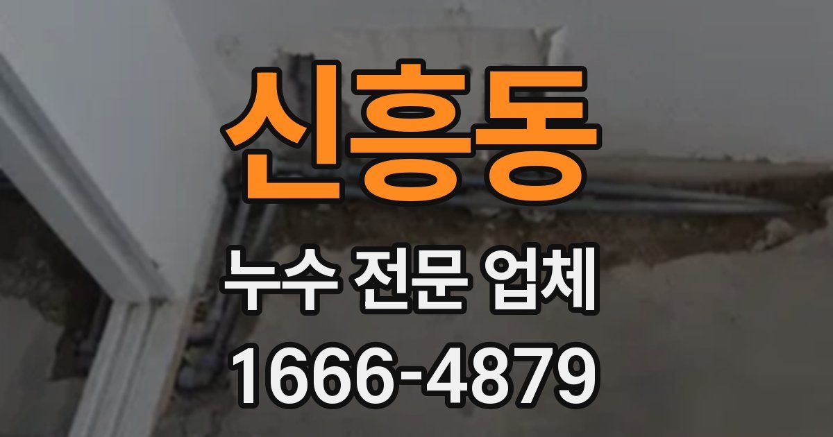 신흥동 누수 전문 업체