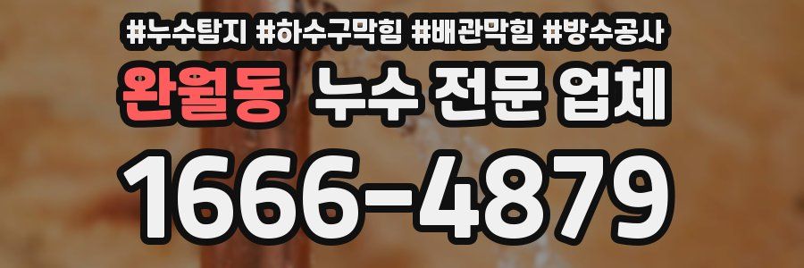 완월동 누수 전문 업체
