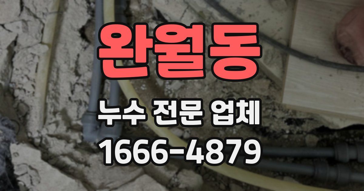 완월동 누수 전문 업체