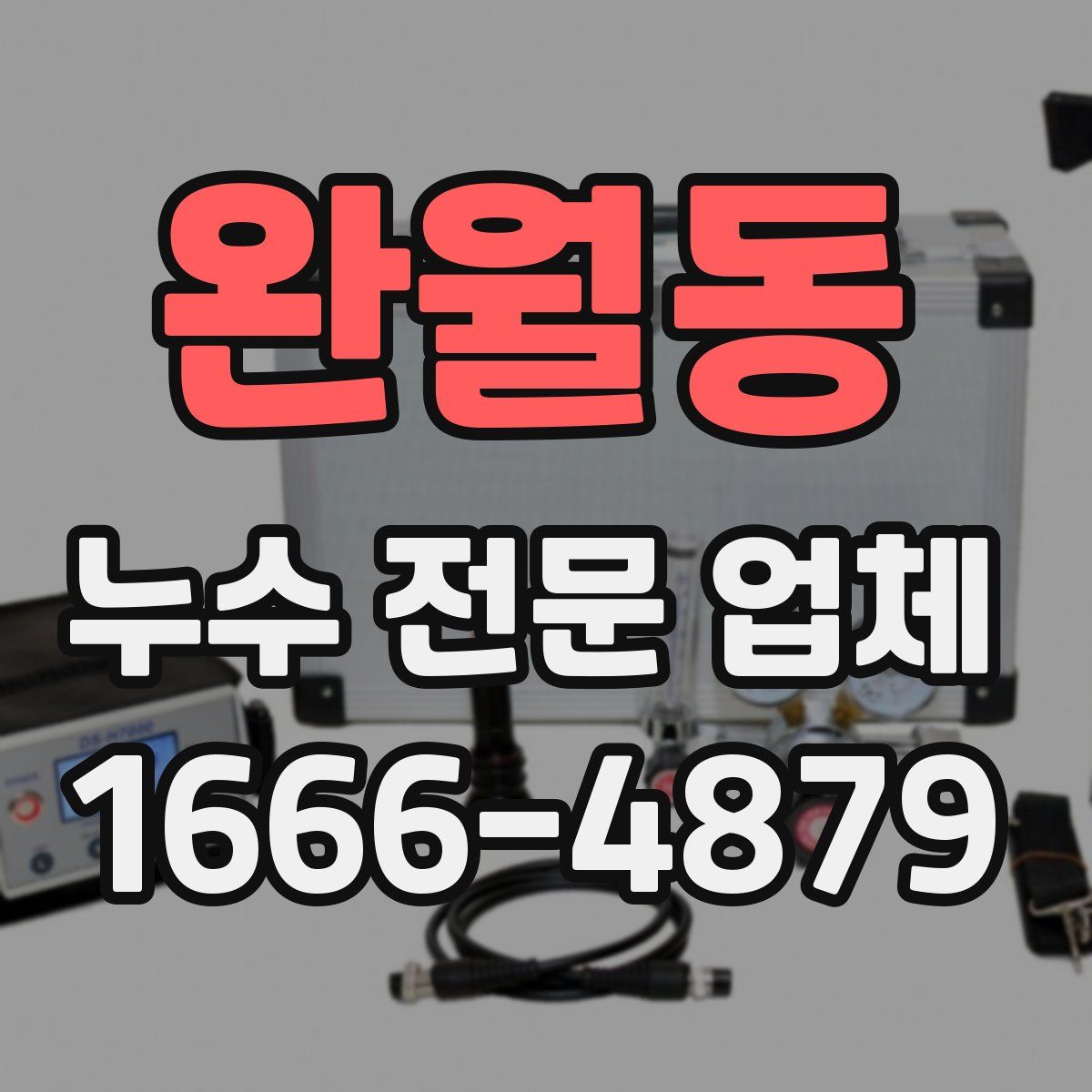 완월동 누수 전문 업체
