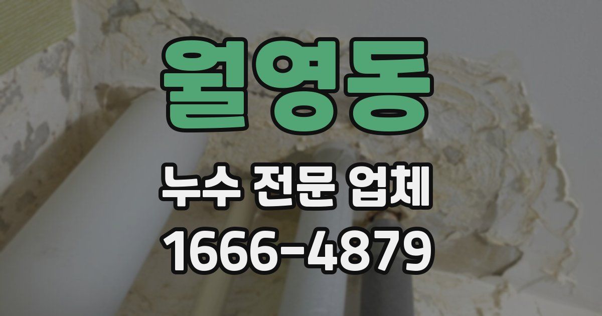 월영동 누수 전문 업체