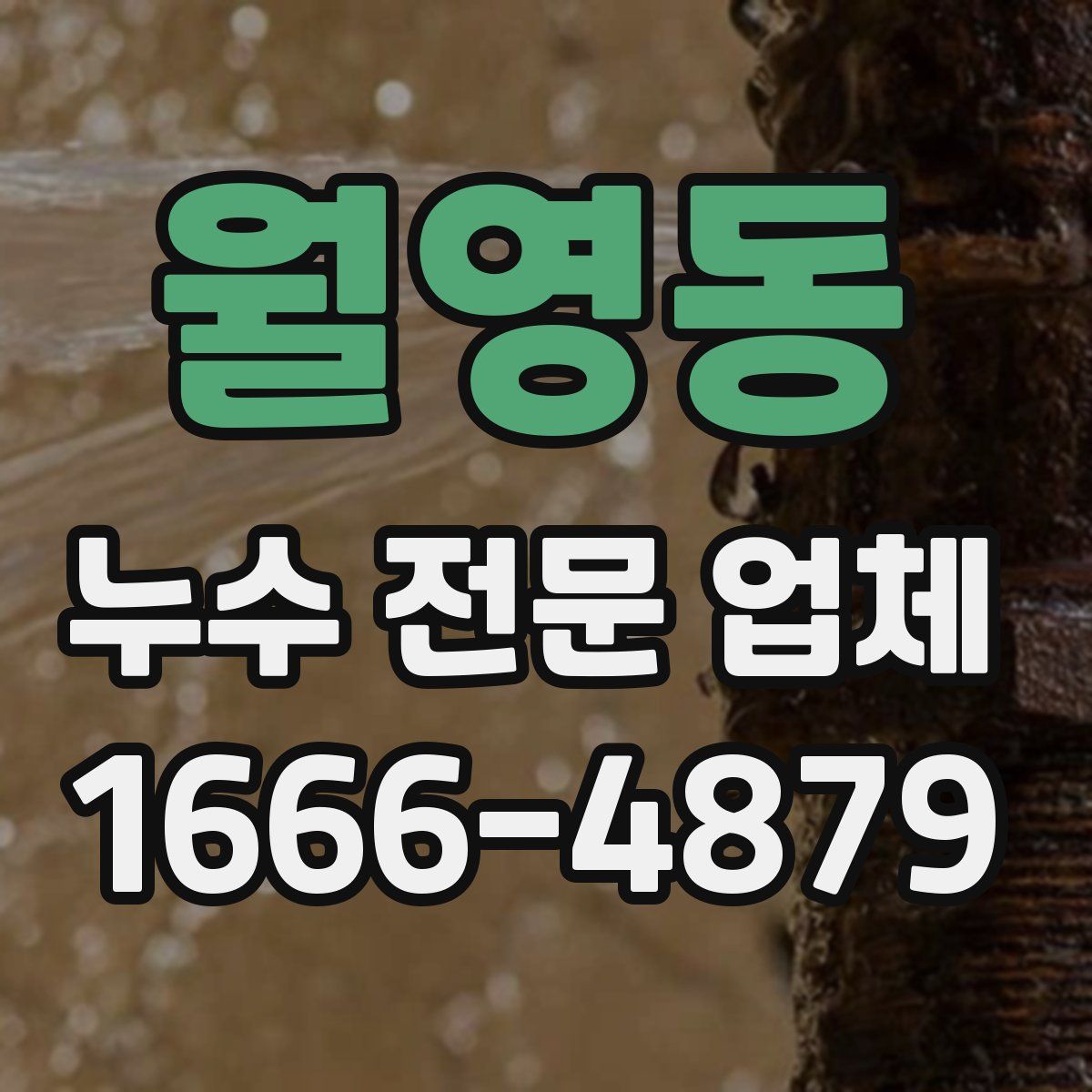 월영동 누수 전문 업체