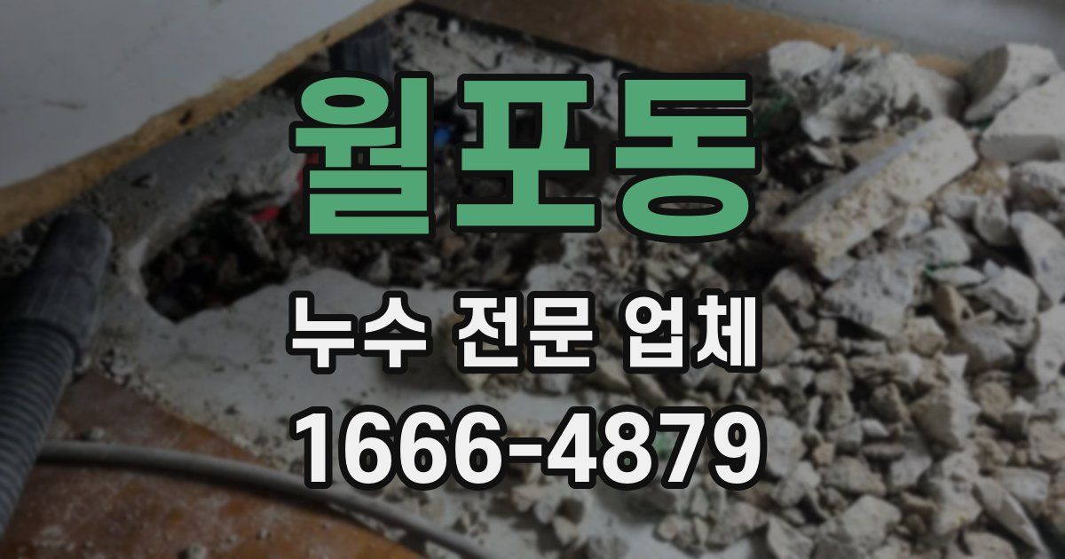 월포동 누수 전문 업체