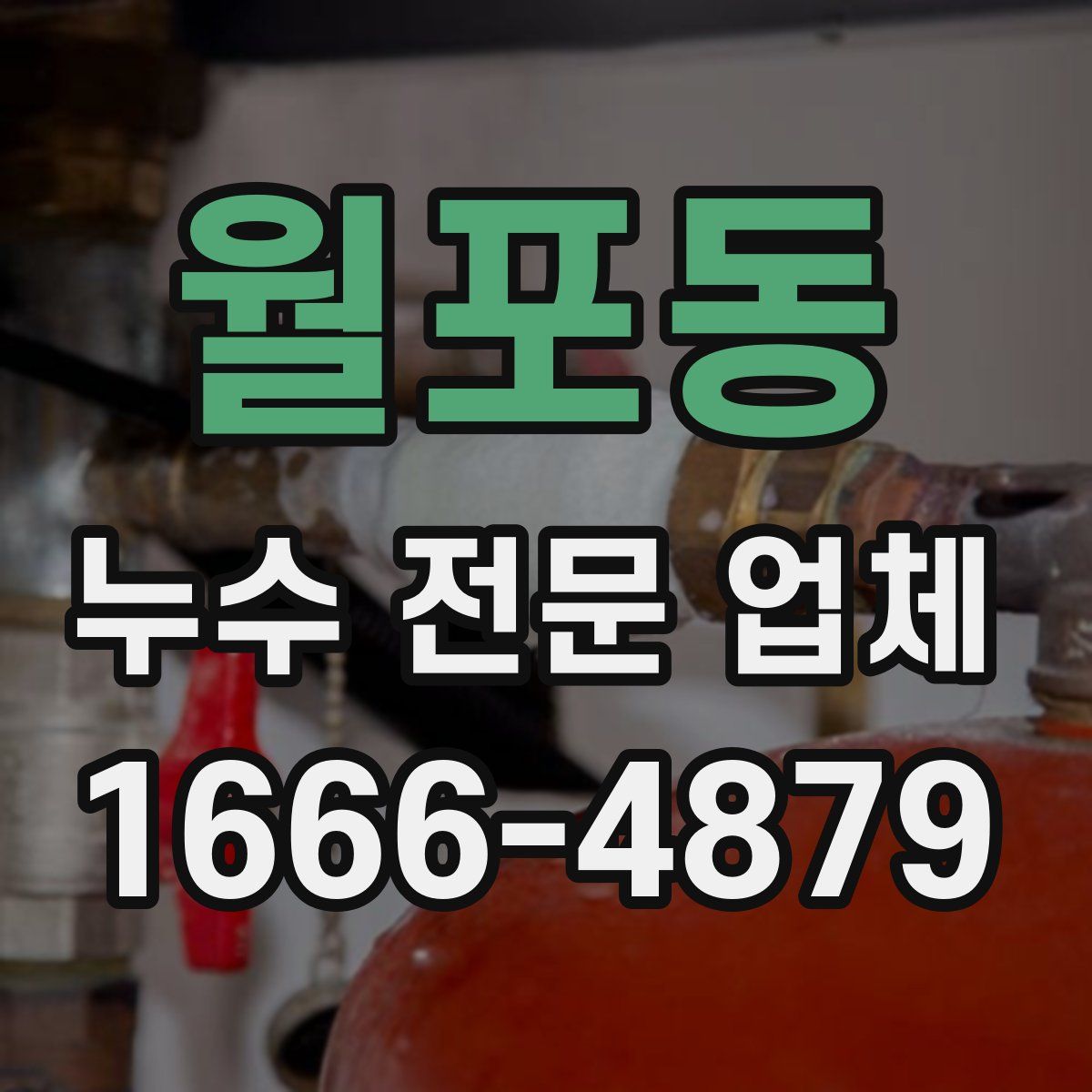 월포동 누수 전문 업체