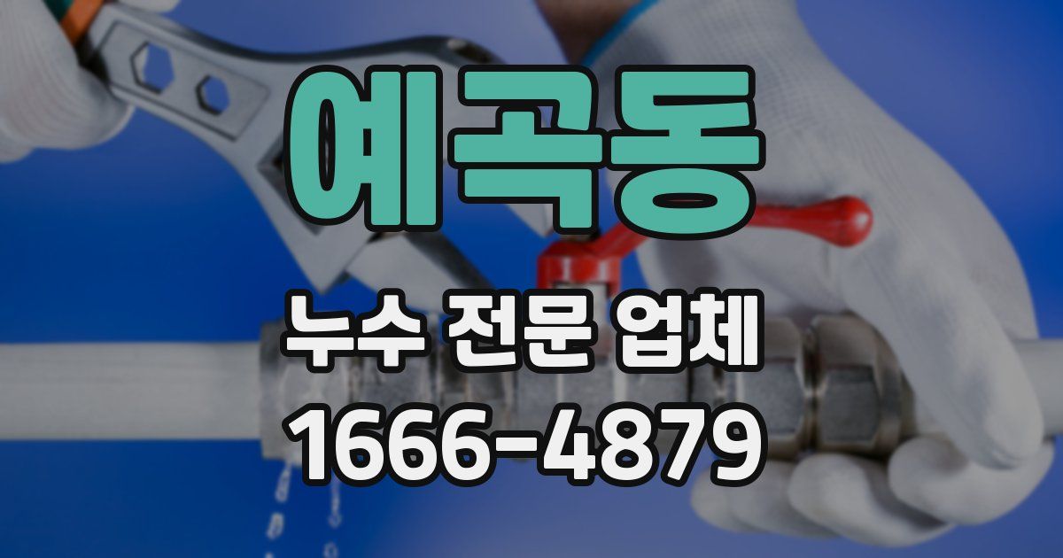예곡동 누수 전문 업체