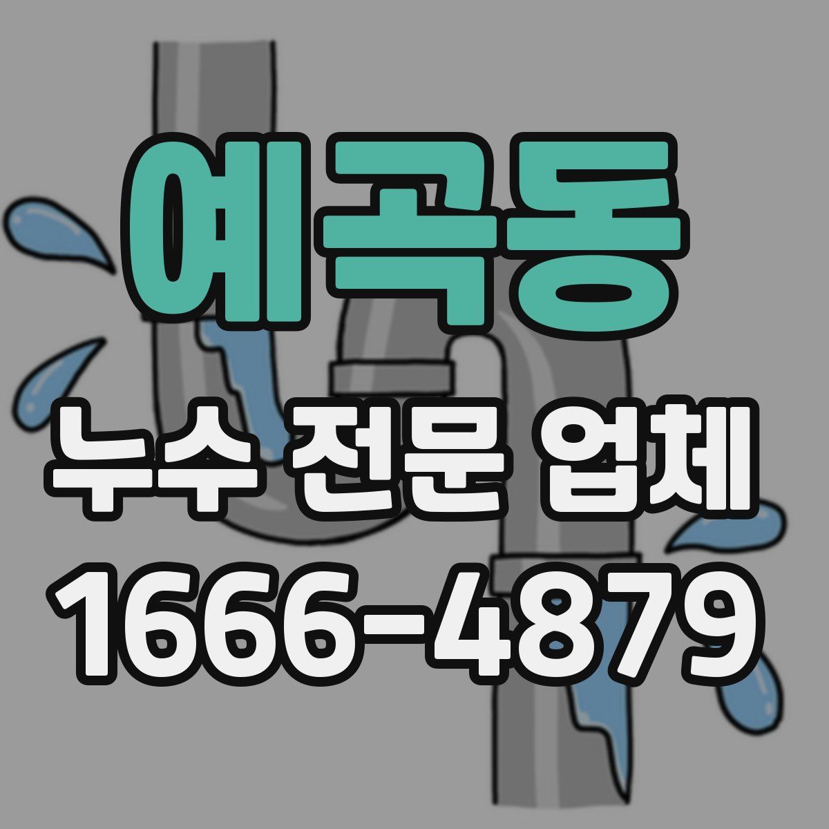 예곡동 누수 전문 업체