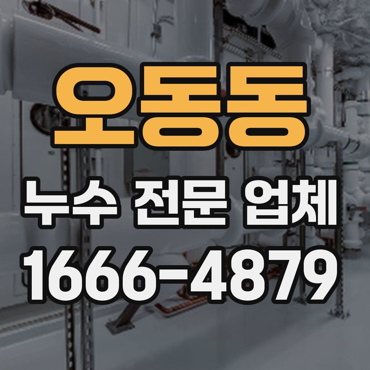 오동동 누수 전문 업체